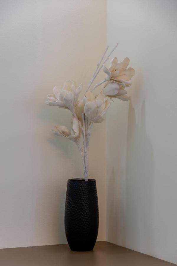 Spacious & Stylish In Downtown Apartament